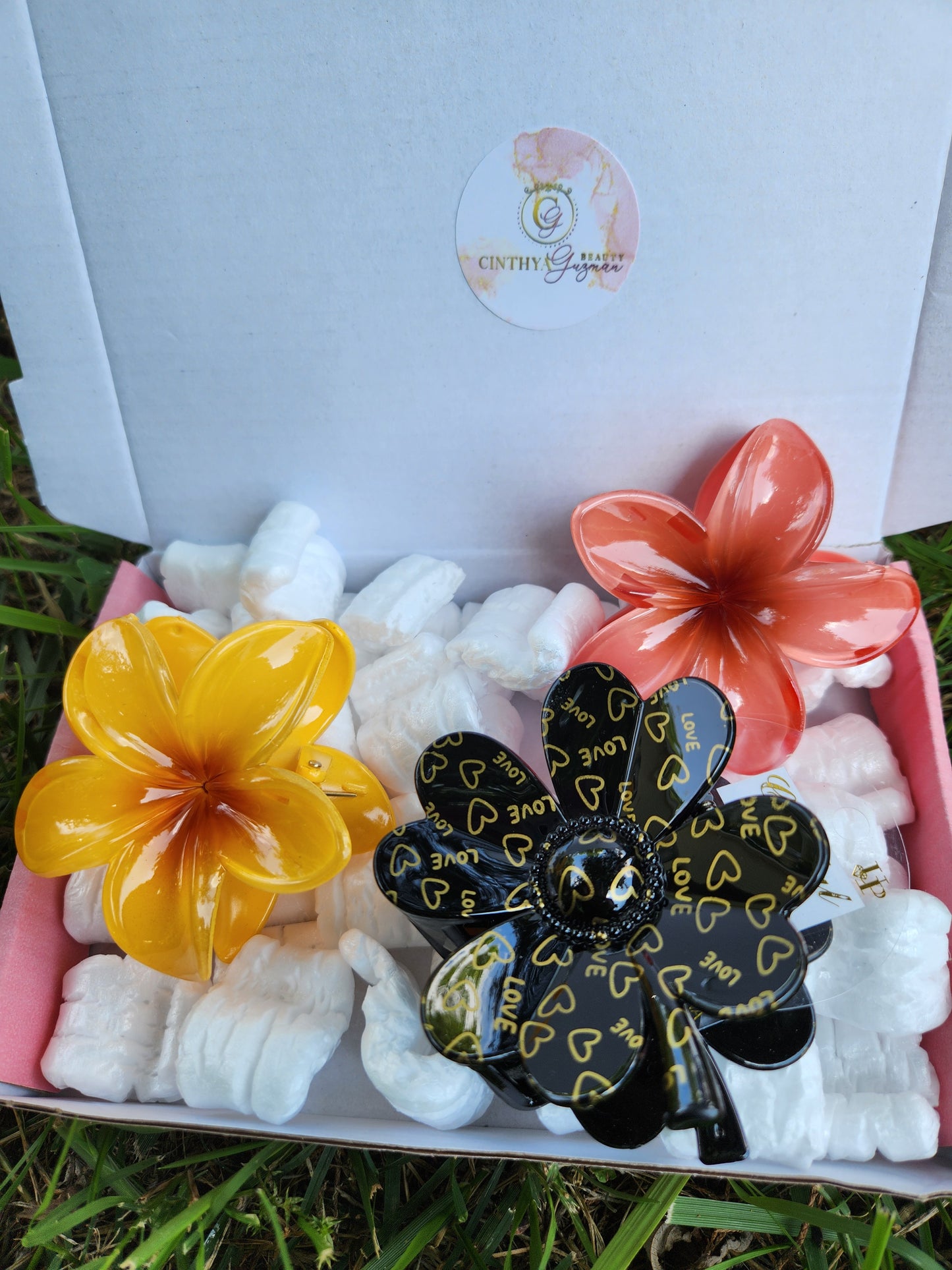 Caja de pinzas para el cabello